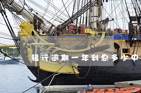 银行逾期一年利息多少中国 银行逾期一年利息多少中国