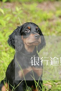 银行逾期一年半怎么办 银行逾期一年半怎么办