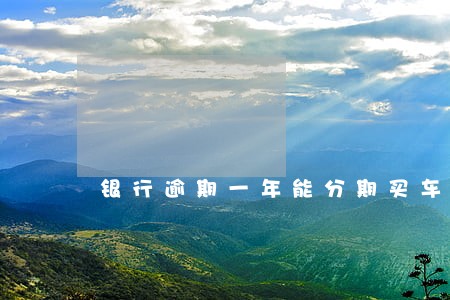 银行逾期一年能分期买车吗