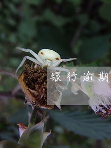 银行逾期一次会上征信 银行逾期一次会上征信