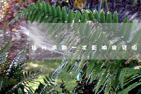 银行逾期一次影响房贷吗 银行逾期一次影响房贷吗