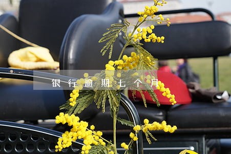 银行逾期七个月