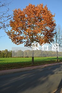 银行逾期三万五利息多少 银行逾期三万五利息多少