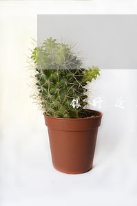银行逾期三个月会上岸吗