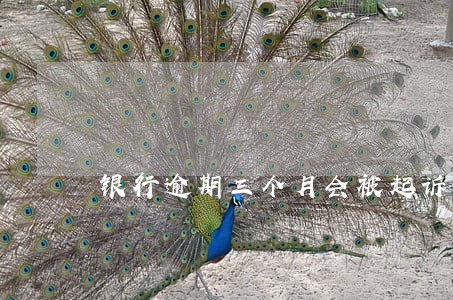 银行逾期三个月会被起诉吗 银行逾期三个月会被起诉吗