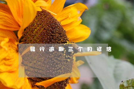 银行逾期三个月征信