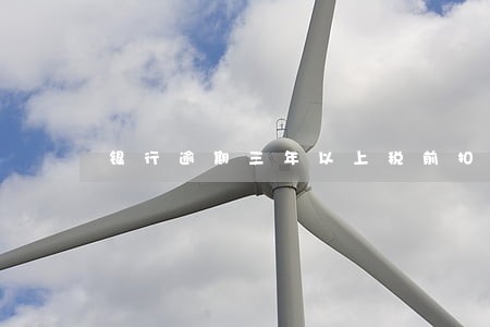 银行逾期三年以上税前扣除 银行逾期三年以上税前扣除