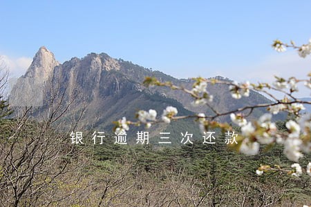 银行逾期三次还款 银行逾期三次还款