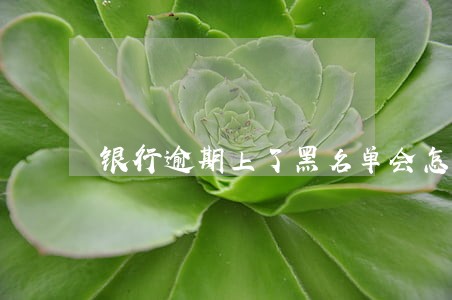 银行逾期上了黑名单会怎么样 银行逾期上了黑名单会怎么样
