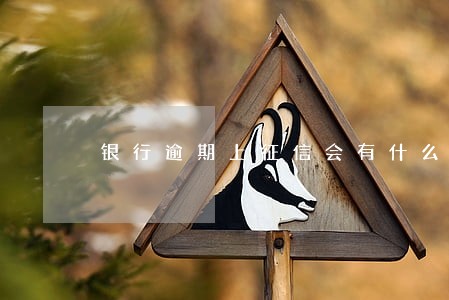 银行逾期上征信会有什么影响 银行逾期上征信会有什么影响
