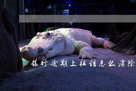 银行逾期上征信怎么消除 银行逾期上征信怎么消除