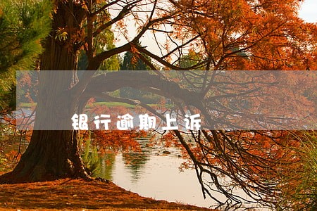 银行逾期上诉 银行逾期上诉