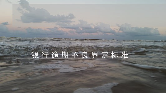 银行逾期不良界定标准 银行逾期不良界定标准