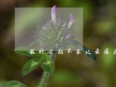 银行逾期不良记录保存多久 银行逾期不良记录保存多久