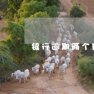 银行逾期两个月会上黑名单吗 银行逾期两个月会上黑名单吗
