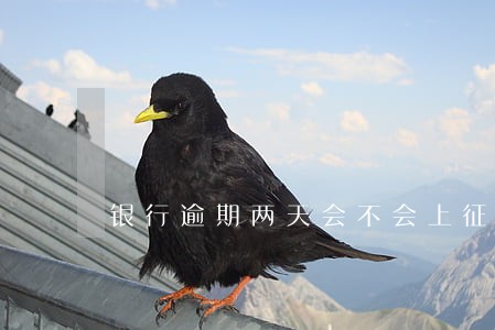 银行逾期两天会不会上征信 银行逾期两天会不会上征信