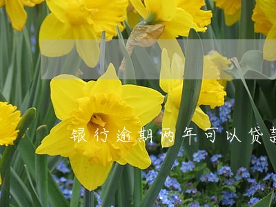 银行逾期两年可以贷款么 银行逾期两年可以贷款么