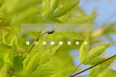 银行逾期两年咋办 银行逾期两年咋办