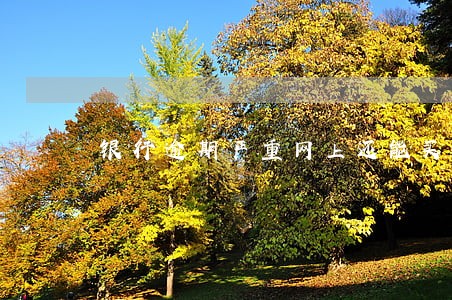 银行逾期严重网上还能买飞机票吗 银行逾期严重网上还能买飞机票吗
