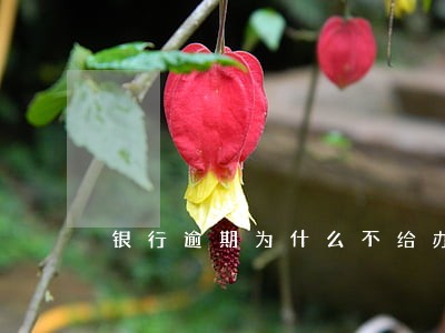 银行逾期为什么不给办分期 银行逾期为什么不给办分期