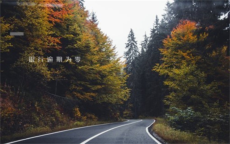 银行逾期为零 银行逾期为零