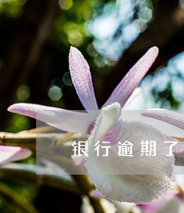银行逾期了利息是多少 银行逾期了利息是多少