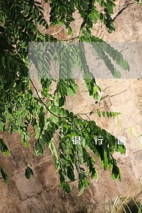 银行逾期了又还了还能再贷吗 银行逾期了又还了还能再贷吗