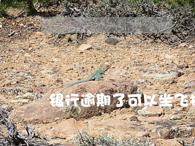 银行逾期了可以坐飞机吗 银行逾期了可以坐飞机吗