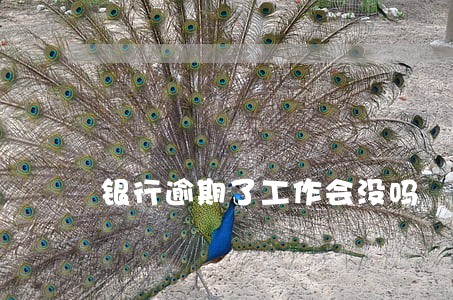 银行逾期了工作会没吗 银行逾期了工作会没吗