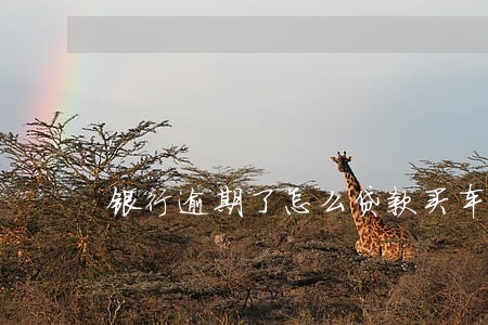 银行逾期了怎么贷款买车 银行逾期了怎么贷款买车
