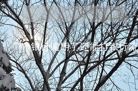 银行逾期了还能打银行流水吗 银行逾期了还能打银行流水吗