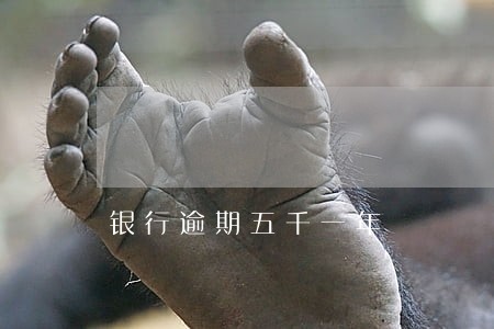 银行逾期五千一年