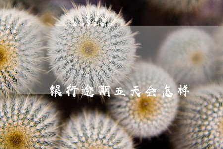 银行逾期五天会怎样 银行逾期五天会怎样