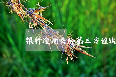 银行逾期交给第三方催收 银行逾期交给第三方催收