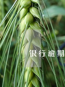 银行逾期人员能报考驾照吗 银行逾期人员能报考驾照吗