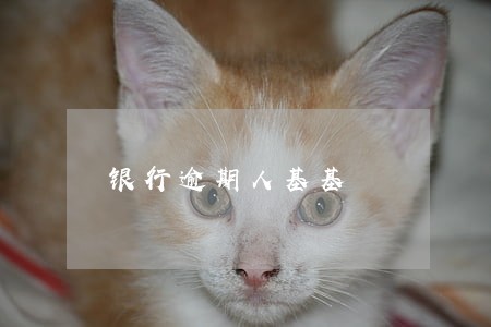 银行逾期人基基 银行逾期人基基