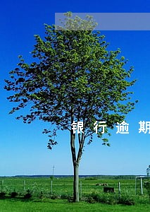 银行逾期什么时候可以恢复 银行逾期什么时候可以恢复