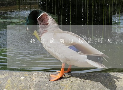银行逾期付款款利息计算 银行逾期付款款利息计算
