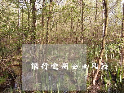 银行逾期企业风险 银行逾期企业风险