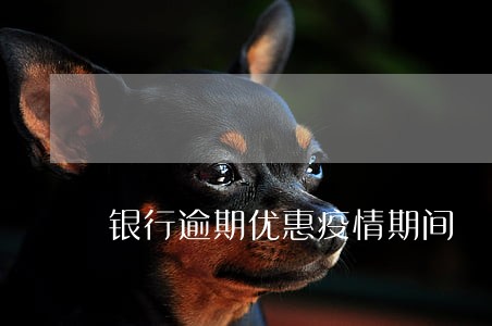 银行逾期优惠疫情期间 银行逾期优惠疫情期间