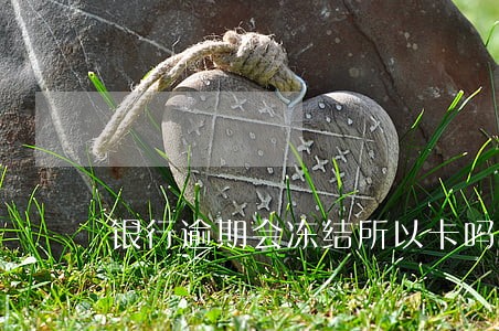 银行逾期会冻结所以卡吗 银行逾期会冻结所以卡吗