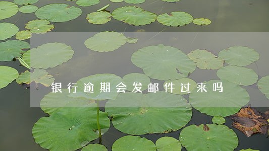 银行逾期会发邮件过来吗 银行逾期会发邮件过来吗