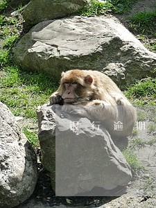 银行逾期会影响另一半封账号吗 银行逾期会影响另一半封账号吗