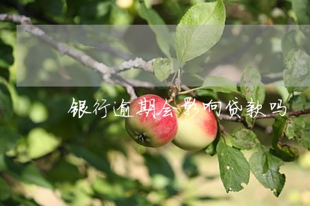 银行逾期会影响贷款吗 银行逾期会影响贷款吗