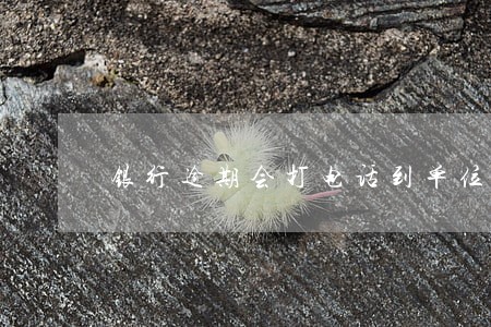 银行逾期会打电话到单位吗 银行逾期会打电话到单位吗