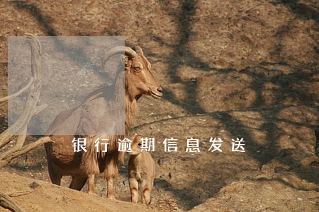 银行逾期信息发送 银行逾期信息发送
