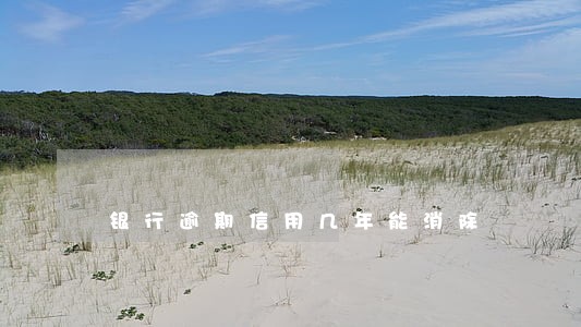 银行逾期信用几年能消除 银行逾期信用几年能消除