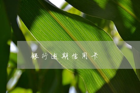 银行逾期信用卡