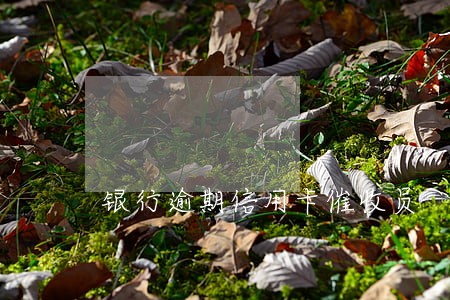 银行逾期信用卡催收员 银行逾期信用卡催收员