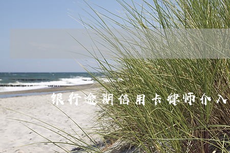 银行逾期信用卡律师介入 银行逾期信用卡律师介入